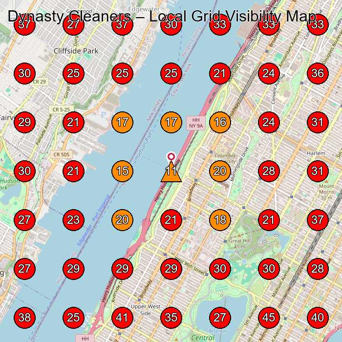 Dynasty Cleaners GeoGrid visibility map for Dry Cleaner in New York